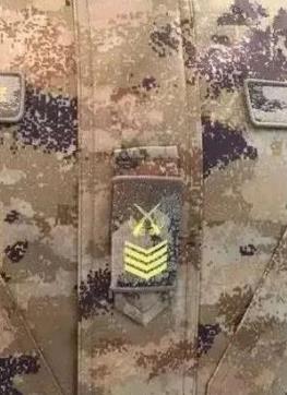 嘉兴大面外墙建议图案比例协调